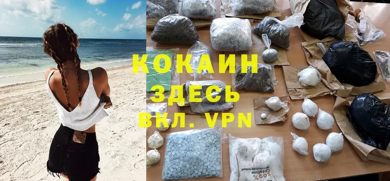 купить закладку  Собинка  COCAIN Fish Scale 